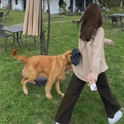 柯罗内的故事