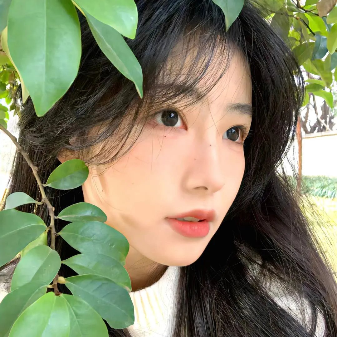 梦幻书院第七季